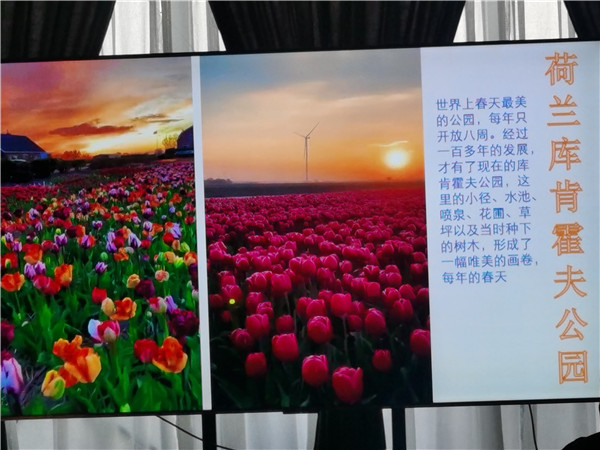 四川中青旅綿陽(yáng)分社獨家定制圓夢(mèng)歐洲系列 - 大全景 9 國 16 天 德國-法國-瑞士-意大利-奧地利-荷蘭-比利時(shí)-列支敦士登-盧森堡