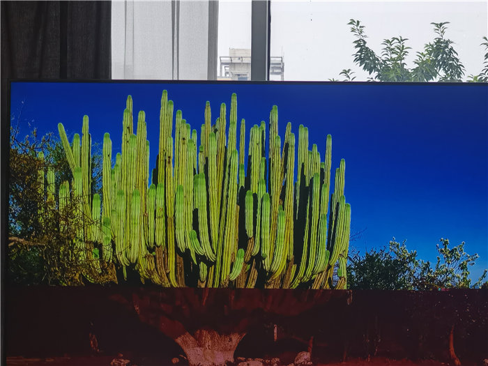 綿陽(yáng)中旅假日旅行社2025年澳洲暨秋季線(xiàn)路品鑒會(huì )