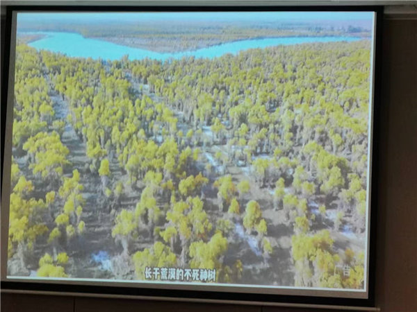 “金色胡楊 南疆盛景”秋攝漫旅行空調專(zhuān)列13日游